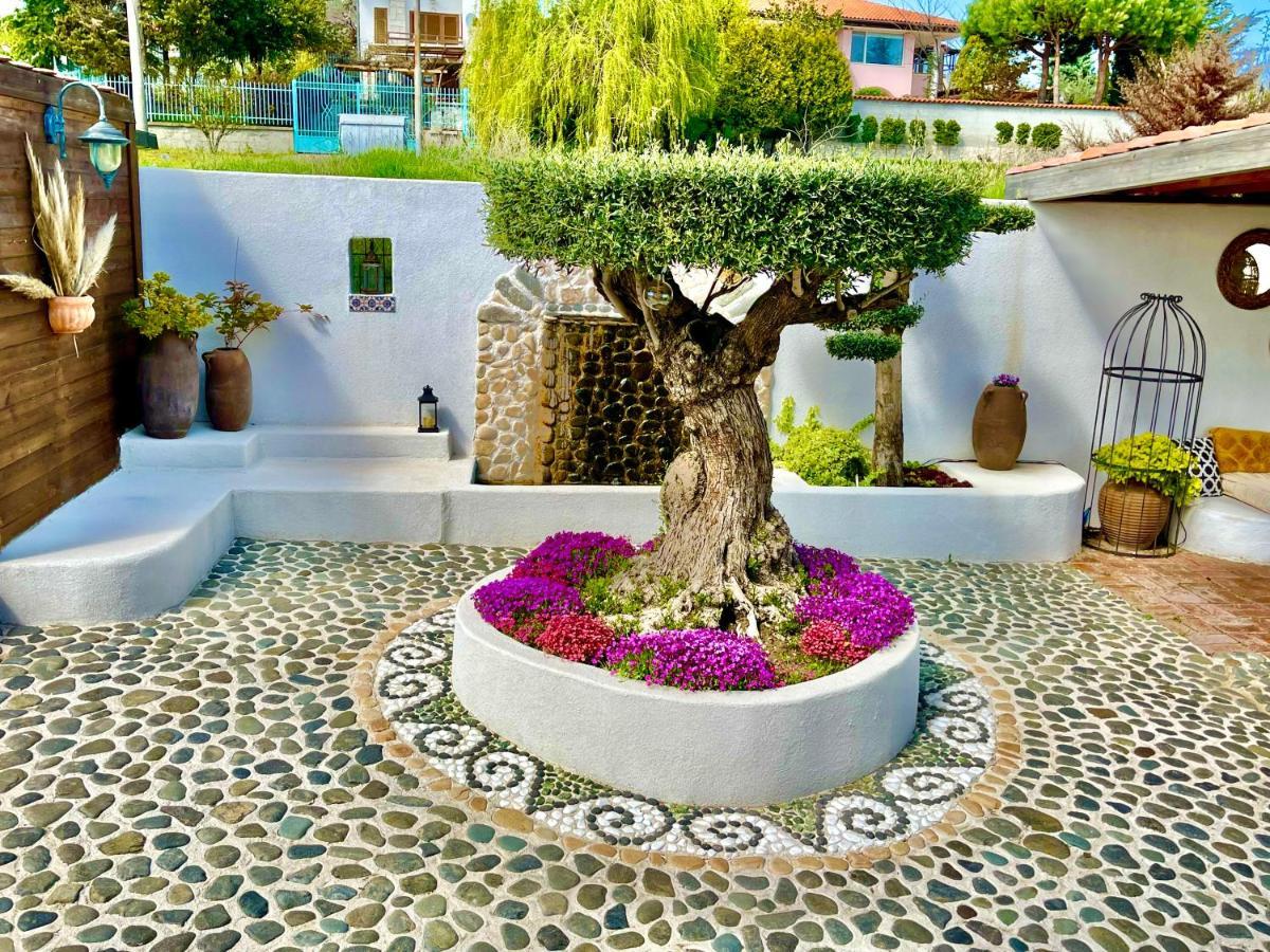 Casa De Oro Alma Aparthotel Sozopol Exterior photo