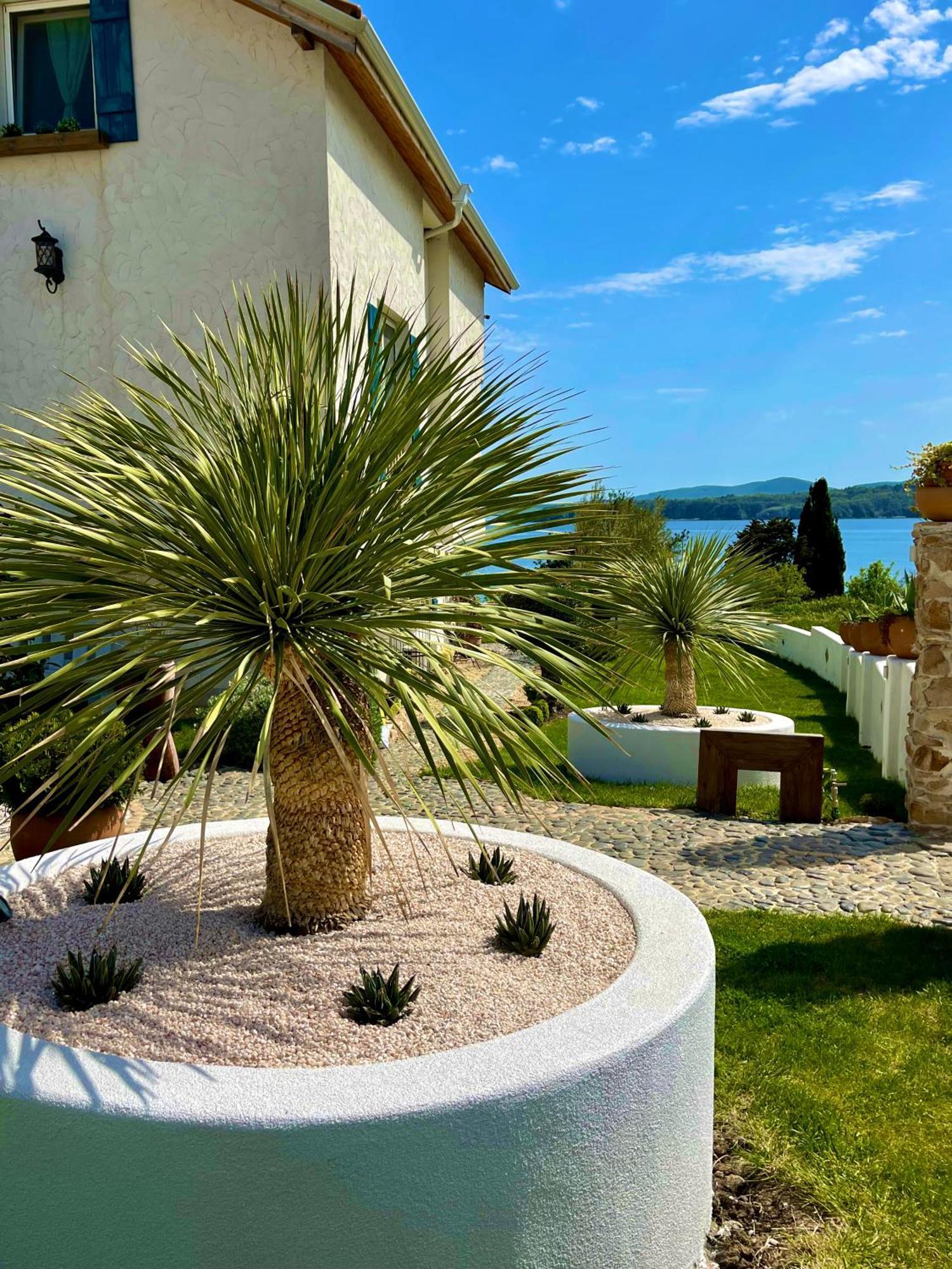 Casa De Oro Alma Aparthotel Sozopol Exterior photo